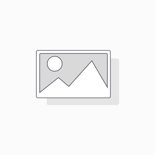 Private Server — Business (4 vCPU / 8 GB)